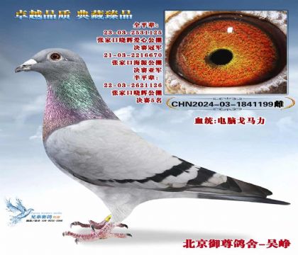 ���Թ���ھ�ȫƽ��