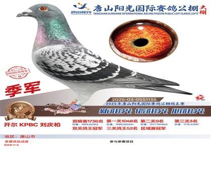 ��ɽ����˫�ظ����ھ�����������