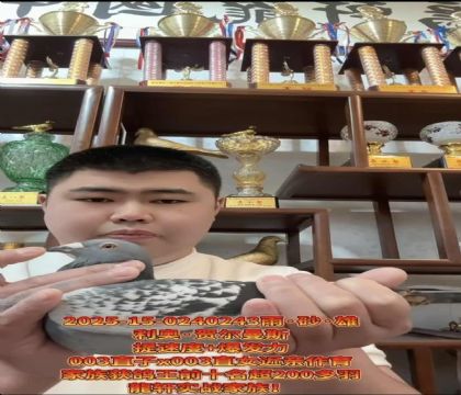 �г������ٶȸ�ϵ�����ºض���˹003�߱��ֽ��׻�Ѫ