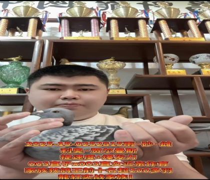 �г������ٶȸ�ϵ�����ºض���˹003�߱��ֽ��׻�Ѫ