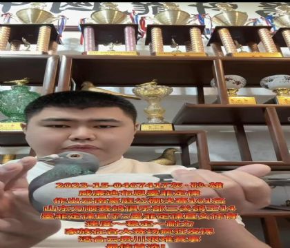 ɽ�����ǣ������ϲ�����ī�ƶ��ɡ�ֱ��X��ī�ƶ��ɡ�ֱŮ