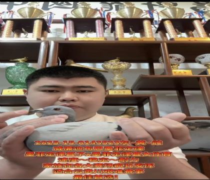 ɽ�����ǣ������ϲ�����ī�ƶ��ɡ�ֱ��X��ī�ƶ��ɡ�ֱŮ