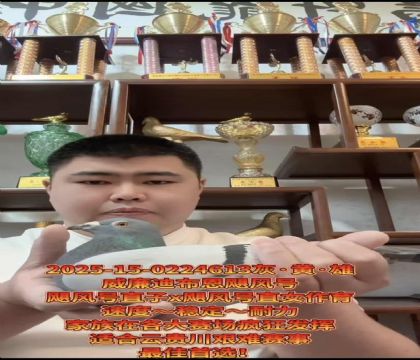 ����ӮǮ�����������ϲ�����쫷�š�ֱ��X��쫷�š�ֱŮ