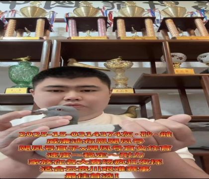 ����ӮǮ�����������ϲ�����쫷�š�ֱ��X��쫷�š�ֱŮ