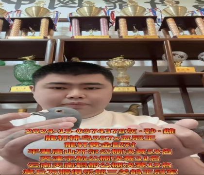 ������ԣ���������587X�����