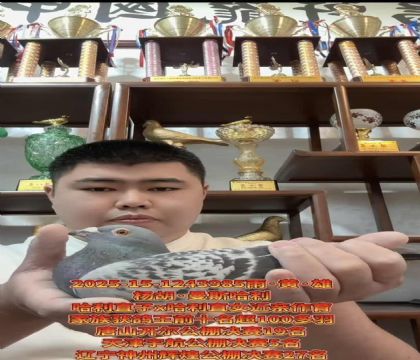 �����������������˹����ֱ��X����ֱŮ��������