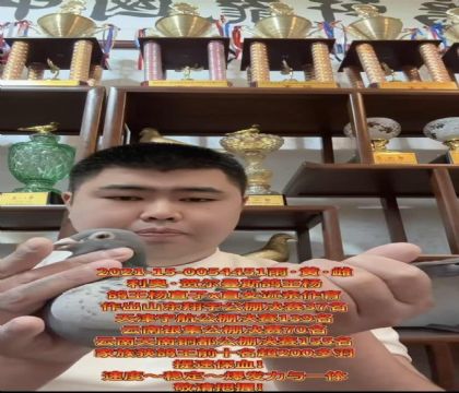 ���ٱ�Ѫ�����º،���˹�������ֱ��X�������ֱŮ