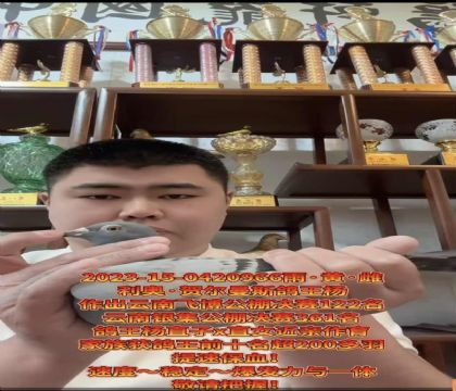 ���ٱ�Ѫ�����º،���˹�������ֱ��X�������ֱŮ