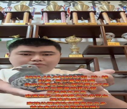 �ص��Ƽ������º،���˹����ӥ��ֱ��X����ӥ��ֱŮ