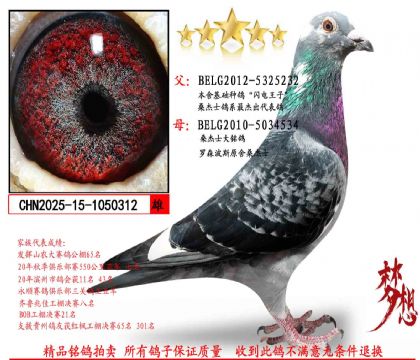 ���������ӣ�ɣ��ʿ��������