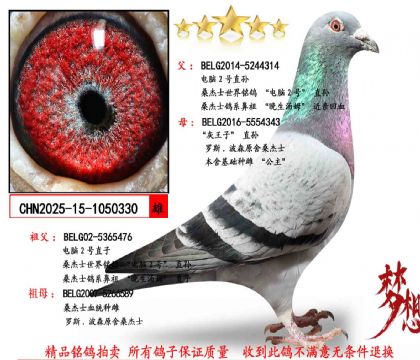 �������Ƽ���ɣ��ʿ����2��ֱ��X������ֱ��