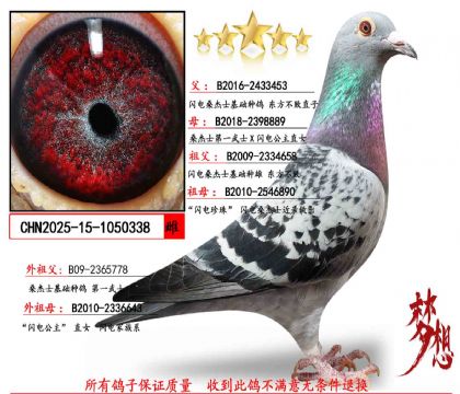 ���������ȣ�����ɣ��ʿ��ʯ��ĸ 1000Ԫ��֤��