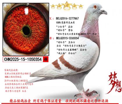 ���ǲ��ˡ�С���ֱ��X�ú��ֱ��Ů�� 1000Ԫ��֤��