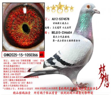 ����˹Xɣ��ʿ����һ��ʿ����X�ǹ�������Ů