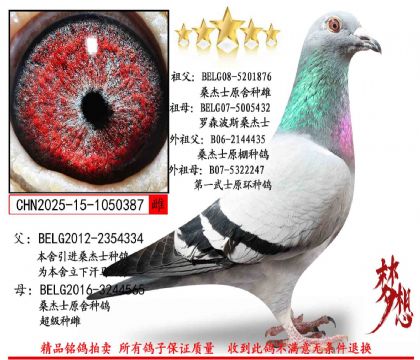 ɣ��ʿ�����ִ�387