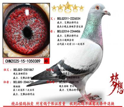 ɣ��ʿ������ķXɣ��ʿ������ĸ