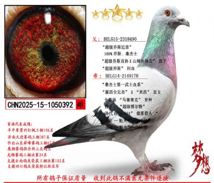 ����˹�� ɣ��ʿ�����ִ�392