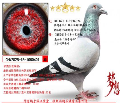 ɣ��ʿ��������ķX�ǹ��š�Xɣ��ʿ������ս����