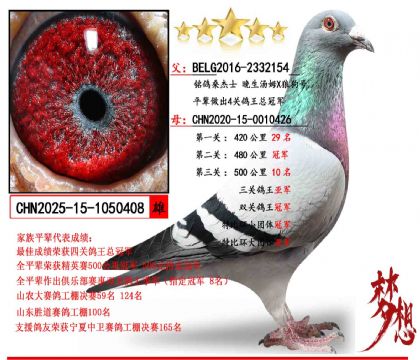 ���Ƽ���������ķX�ǹ���X˫�عھ������Ǿ�	���Ƽ���������ķ