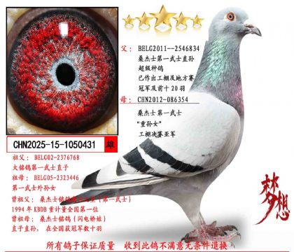 ���ص��Ƽ���ɣ��ʿ��һ��ʿֱ��X��һ��ʿ����Ů