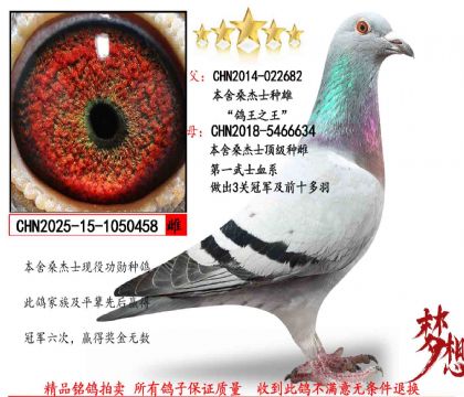 ������֮����ɣ��ʿ�����ִ�