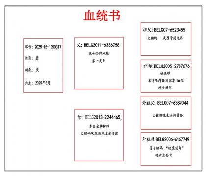 2025-15-1050317Ѫ����