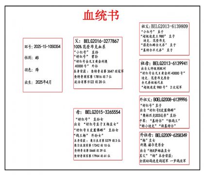 2025-15-1050354 Ѫ����