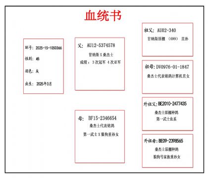 2025-15-1050366Ѫ����