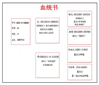 2025-15-1050401Ѫ����