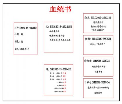 2025-15-1050408Ѫ����