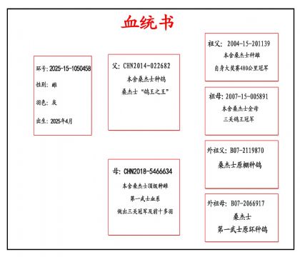 2025-15-1050458Ѫ����