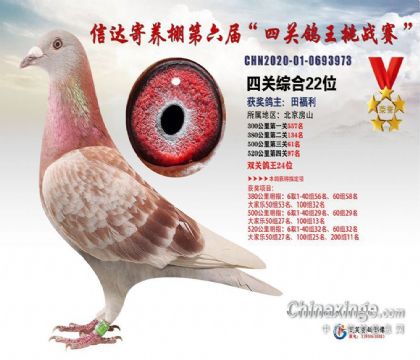 �����Ŵ�������������Ĺ��ۺϸ���22��  ��	