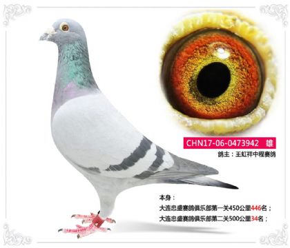 ������ʢ������ֲ��ڶ���500����34��   ��	