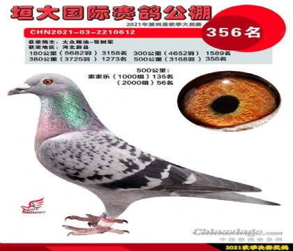 �ӱ�ԫ��������빫��500�������356��  ��	