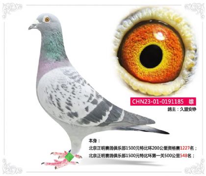 ��������������ֲ�1500Ԫ�رȻ���һ��500����548��