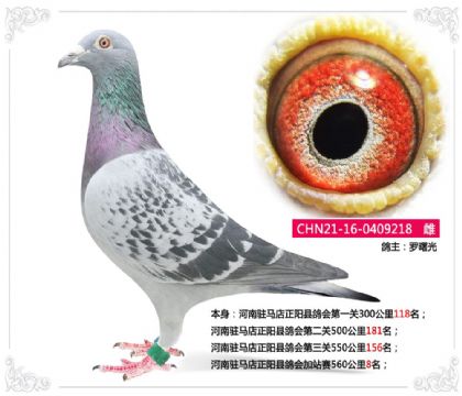 ����פ���������ظ���վ��560����8��   ��	