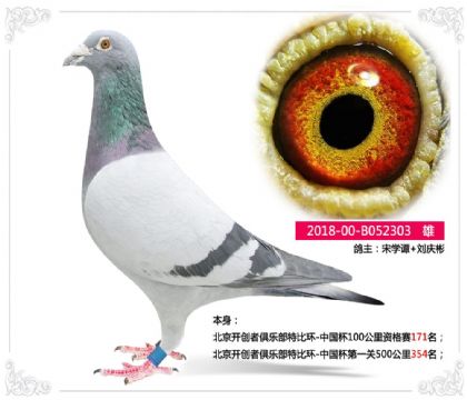 ����������������ֲ��رȻ�-�й���500����354��   ��