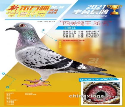 ������̨���ǧԪ�رȻ��Ĺ��ۺϸ���36��  ��	