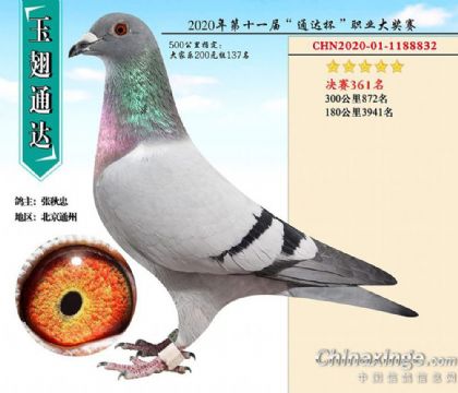 �������ͨ�����빫��500�������361��   ��	