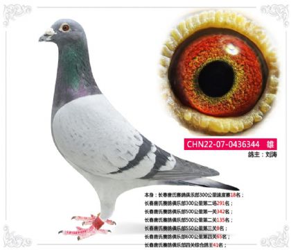 ��������������ֲ��Ĺ��ۺϸ���41��   ��	