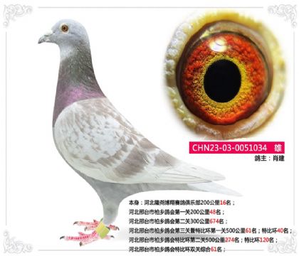 �ӱ���̨�а������رȻ�˫���ۺ�61��   ��	