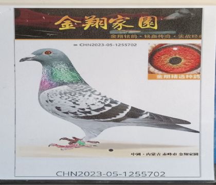 ���ɽ����԰	702   ��