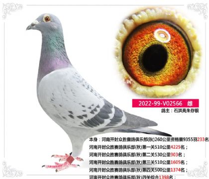 ���Ͽ�����ʤ������ֲ�(��)�Ĺ��ۺ�1398��   ��	