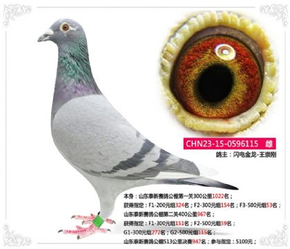 ɽ��̩�����빫��513�������947��  ��	