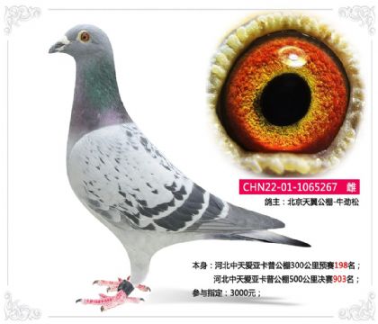 �ӱ����찮�ǿ��չ���500�������903��   ��