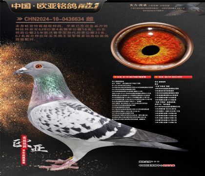 �Ƕ���˹����ԭ��987X499