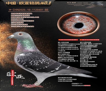 �Ͽ�.���ǲ���440X���ض�237�ƽ����