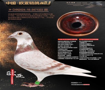 ��������ȫ���ھ�̩ɽ�Ŷ��ؽ���357X133