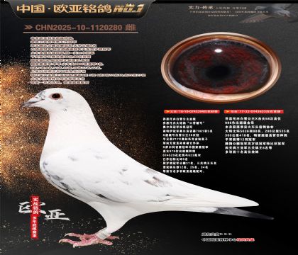 ��˼���ڰ�ѩ����ԭ��294X623