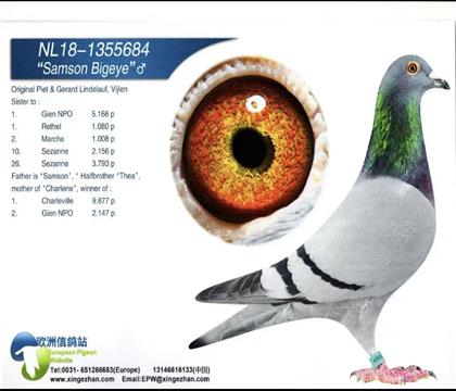 ŷ���Ÿ�վԭʼ��Ƭ